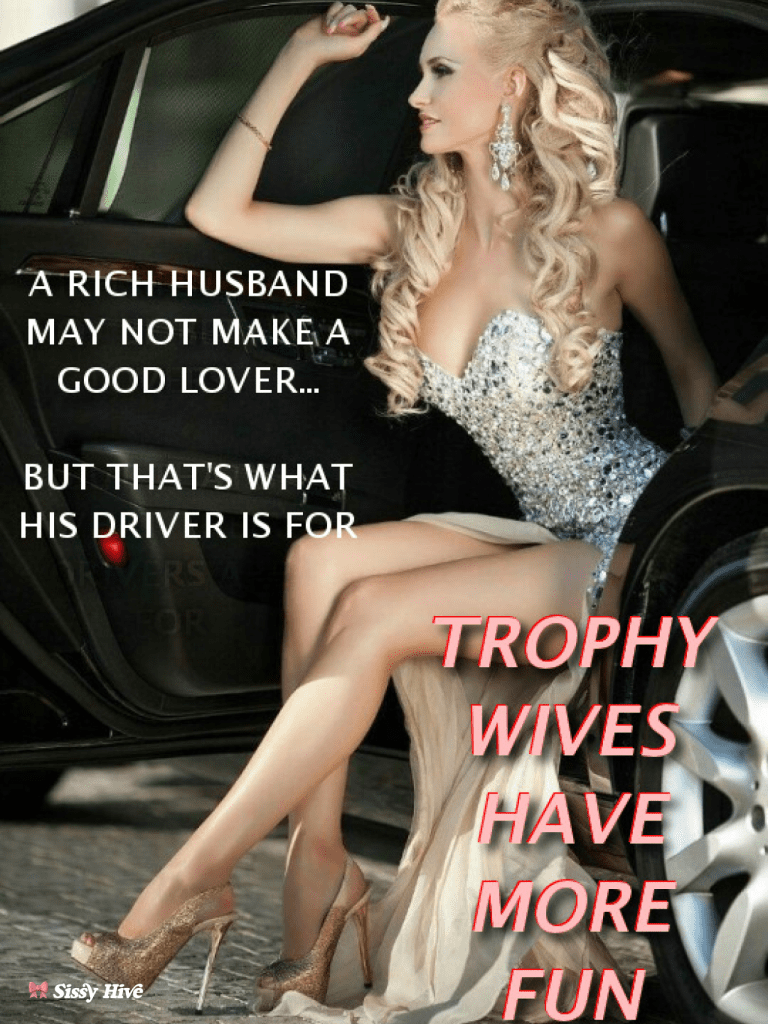 Sissy Housewife Captions