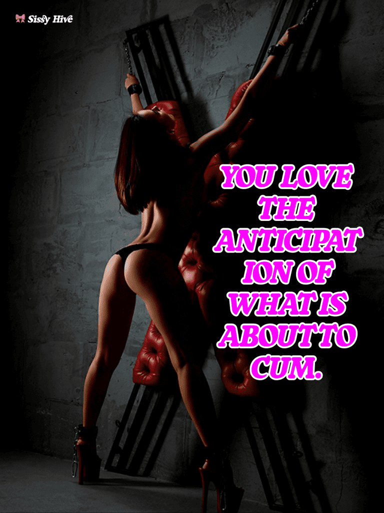Sissy Bondage Captions 5